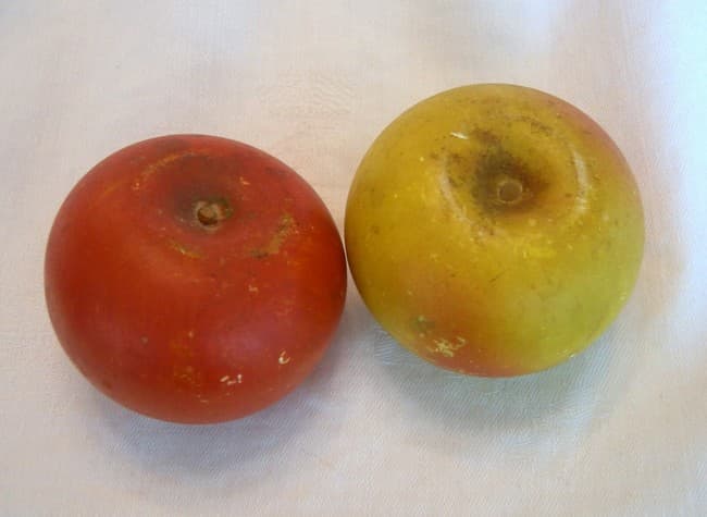 Antique STONE FRUITS Apples One Red One Yellow product image