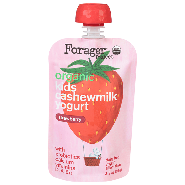 Forager Project Organic Kids Strawberry Cashewmilk Yogurt product image