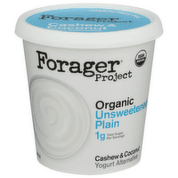 Forager Project Organic Cashewmilk Yogurt product image