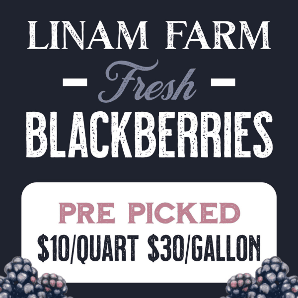 Fresh Local Blackberries product image
