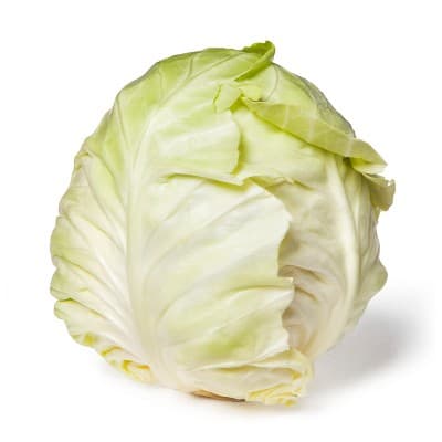 Church Brothers Farms Fresh Green Cabbage product image